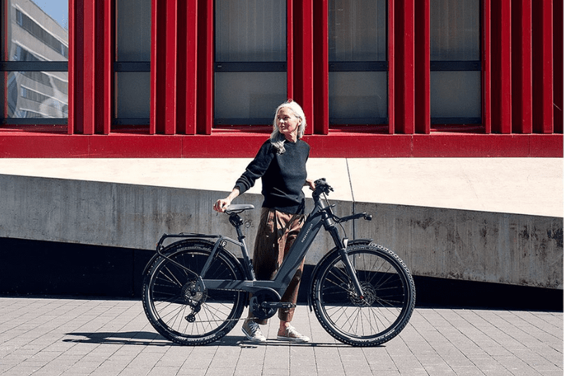 Riese und Müller Nevo4 Gt Vario Reiserad