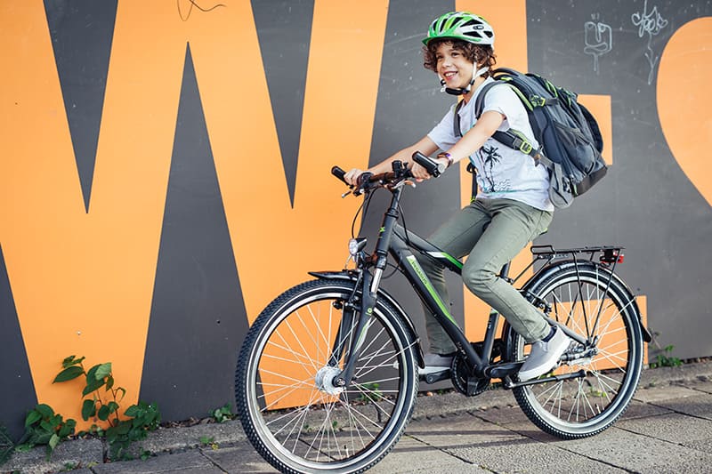 Pegasus Avanti 18 Produktbild