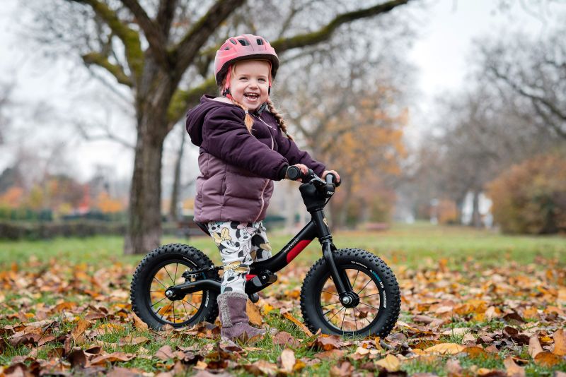 Rotwild R.P2.5+ Laufrad | Sonderedition