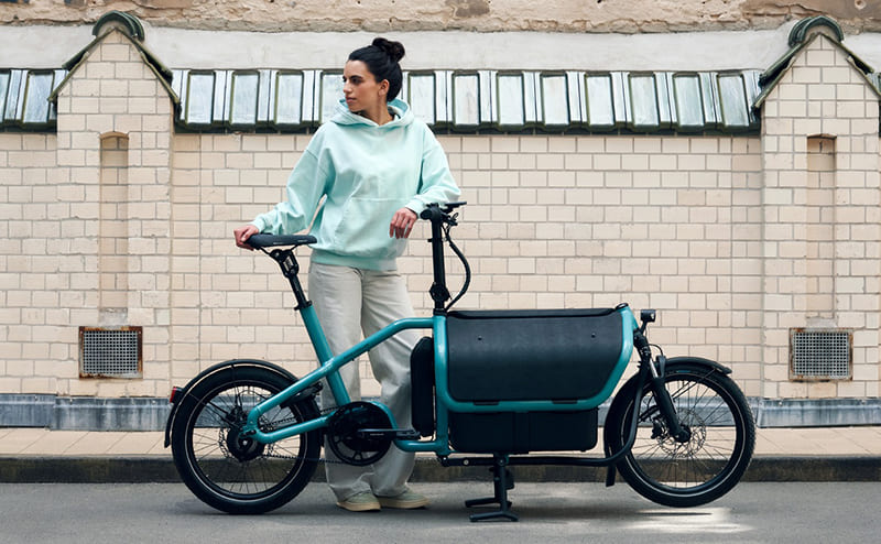 Riese und Müller Carrie vario . 2024 