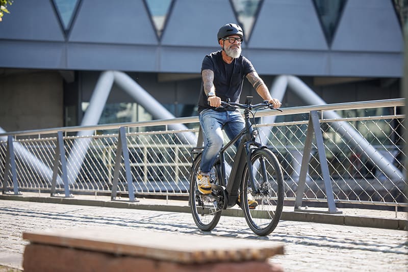 Pegasus Premio Evo 10 Lite Herren Trekkingbike