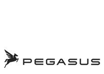Pegasus