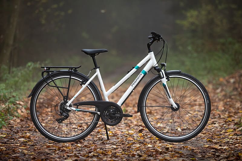 Pegasus Solero Produktbild