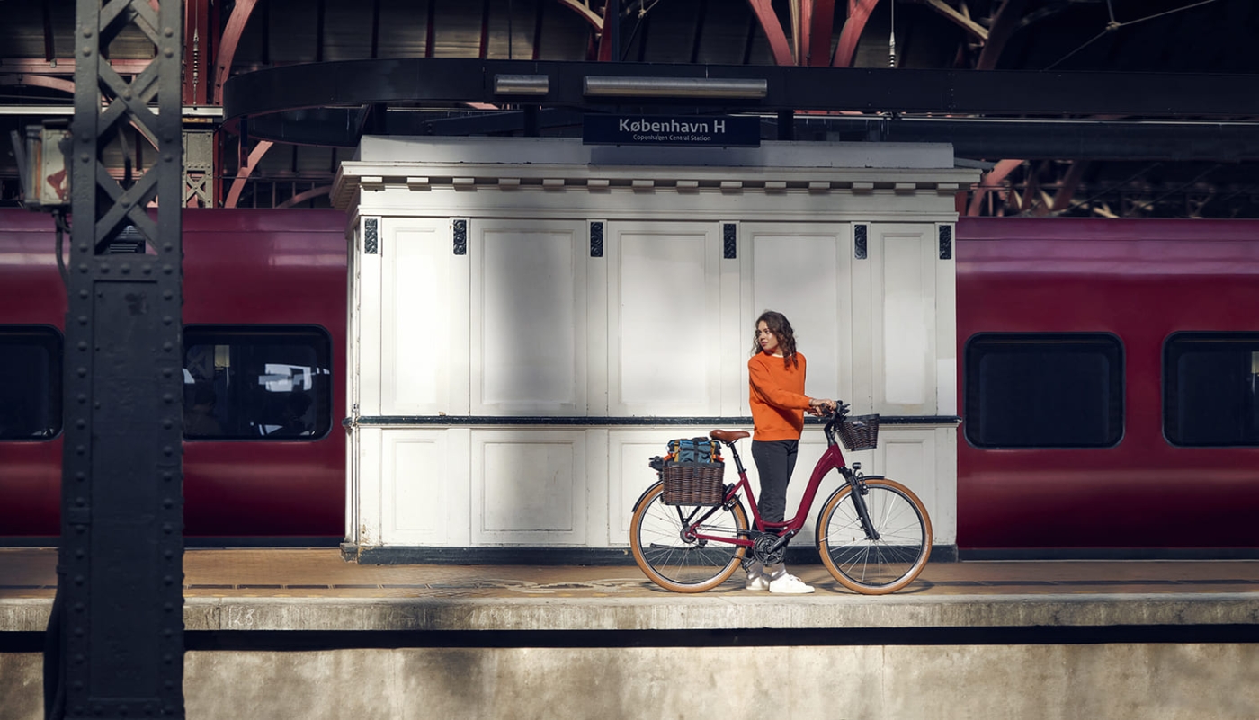 Riese & Müller Swing4 vario bordeaux . 2024 Image