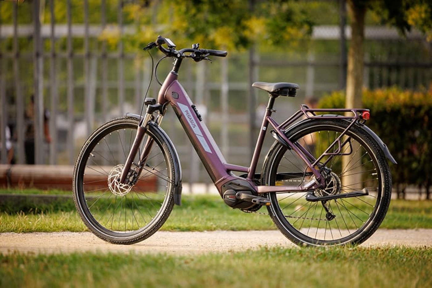 Pegasus Solero EVO 9 Wave berry . 2023