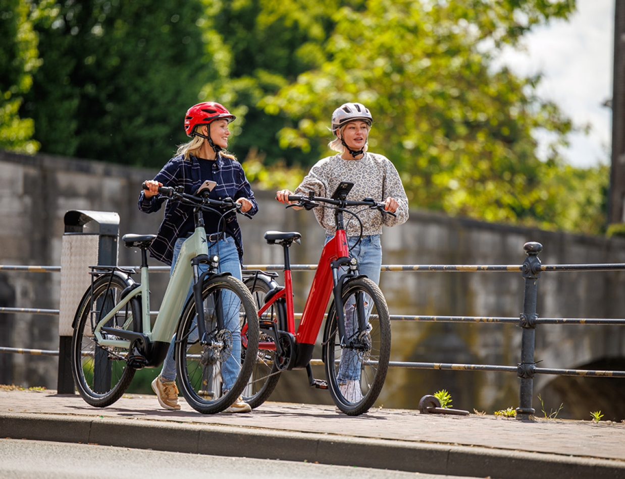 Pegasus Solero Evo 10 Wave rot . 2026