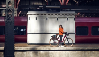 Mobile Preview: Riese & Müller Swing4 vario bordeaux . 2024 Image