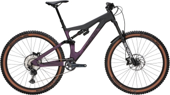 Bulls Wild Creed RS 29