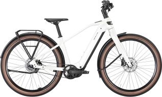 Bulls Sturmvogel EVO Herren . 2026