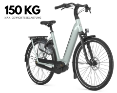 Mobile Preview: Gazelle Arroyo C8 Elite Light Olive . 2026