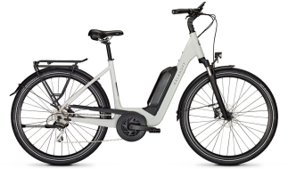 Kalkhoff Endeavour 1.B Move Wave grau