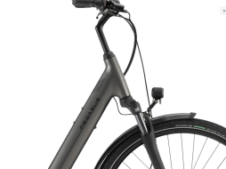 Mobile Preview: Pegasus Siena E7F . 2026