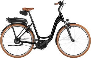 Riese und Müller Swing5 Vario . 2026