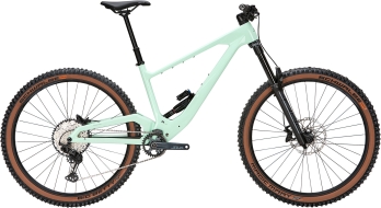 Bulls Wild Creed . 2026